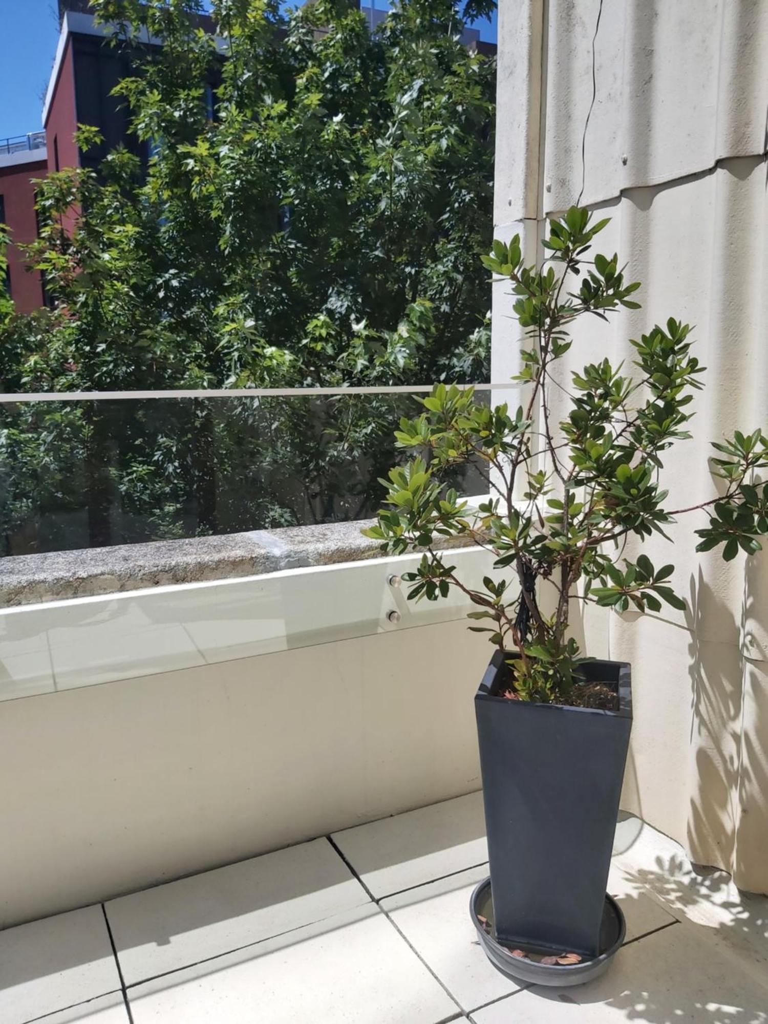 Porto Terrace Apartment Zewnętrze zdjęcie